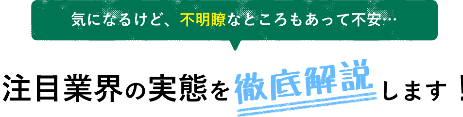 徹底解説