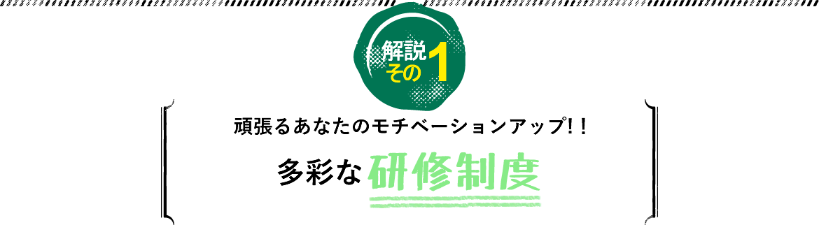 多彩な研修制度