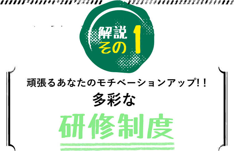 多彩な研修制度